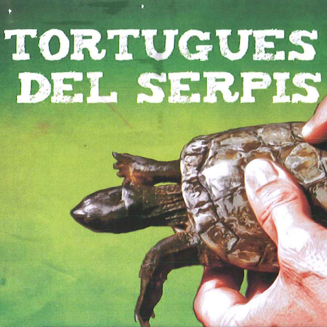 Vols conèixer com són les tortugues del Serpis?